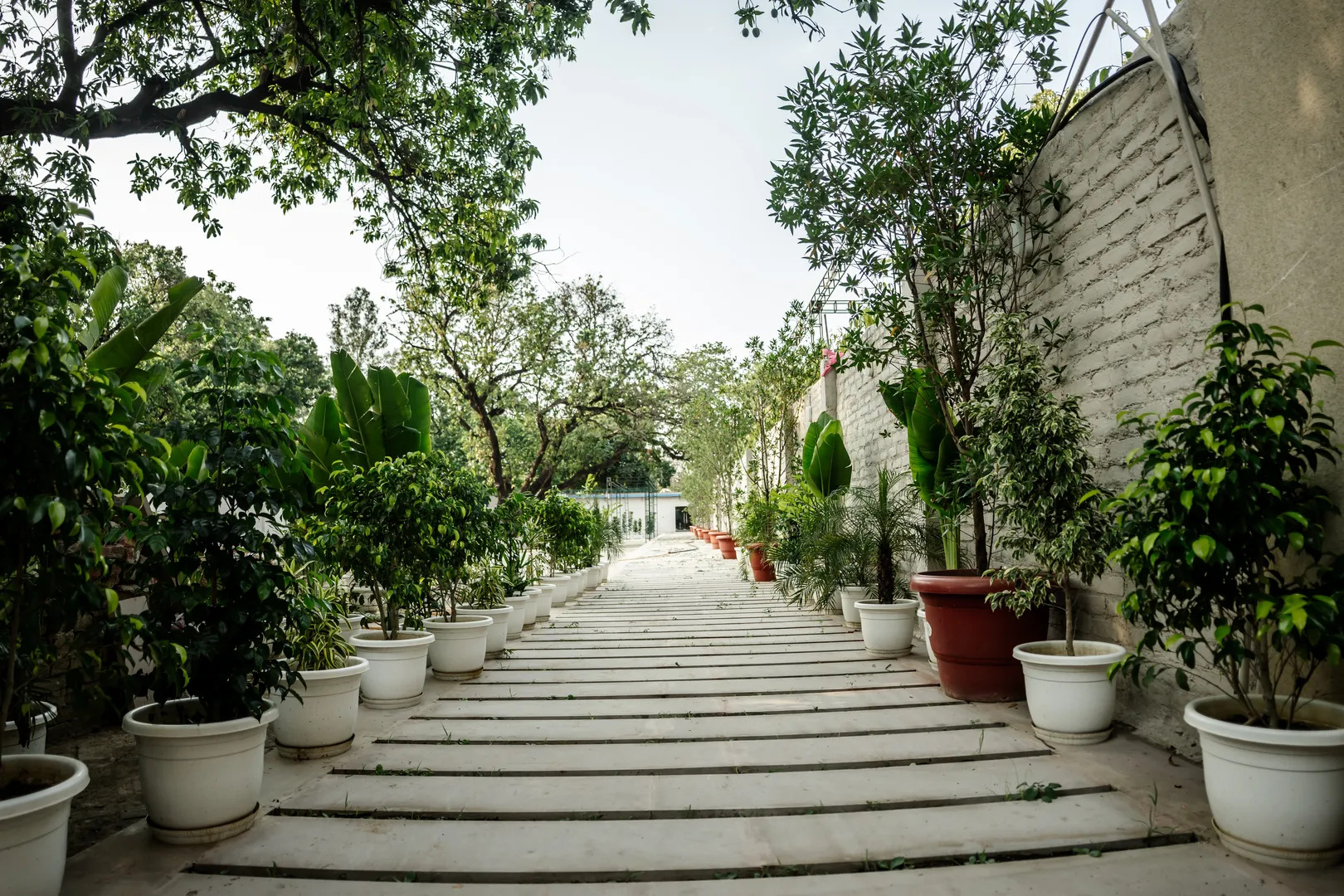 Aam Bagh Signature Experience